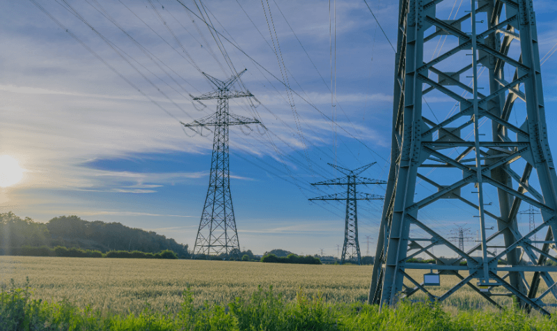 Wholesale energy suppliers power transmission infrastructure
