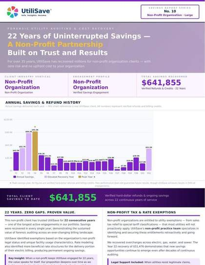 Non-Profit Organization Large savings report thumbnail