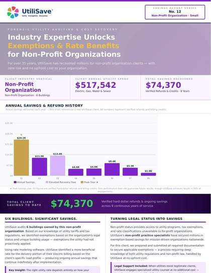 Non-Profit Organization Small savings report thumbnail