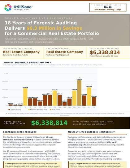 Real Estate Company Large savings report thumbnail